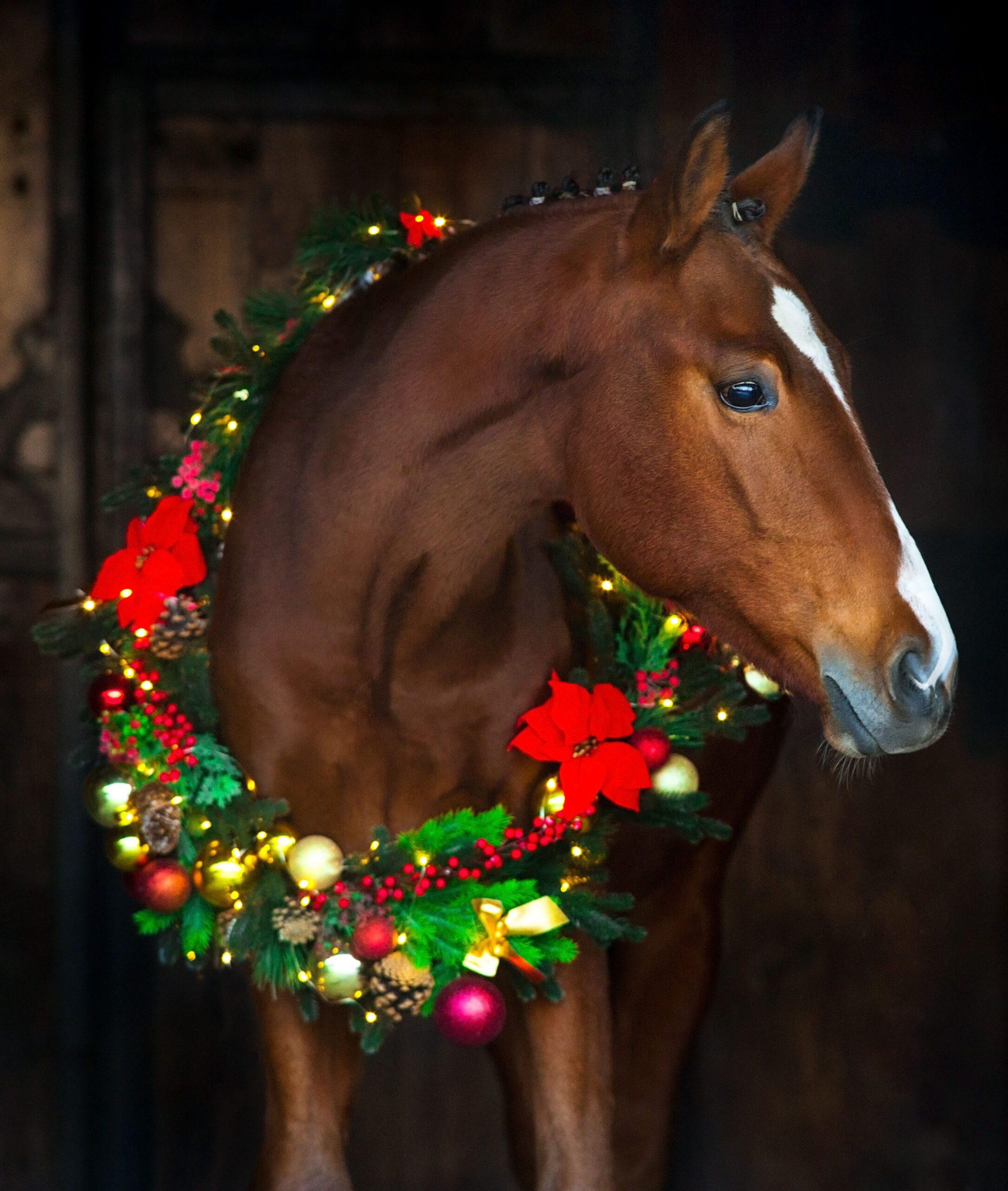 Horse in New year decor