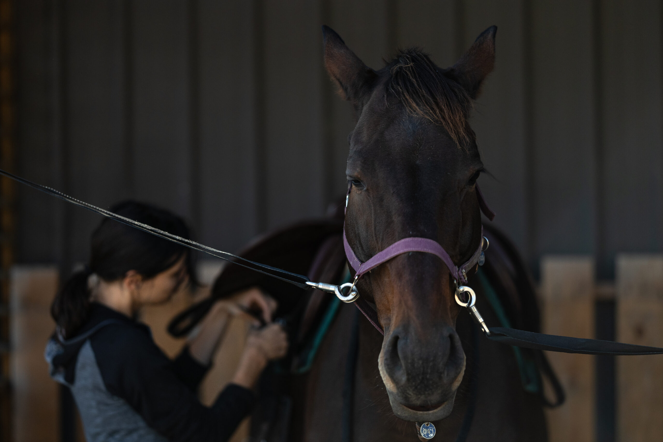 Équitation-18